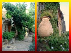 183 D23 BORMES LES MIMOSAS 1_000052